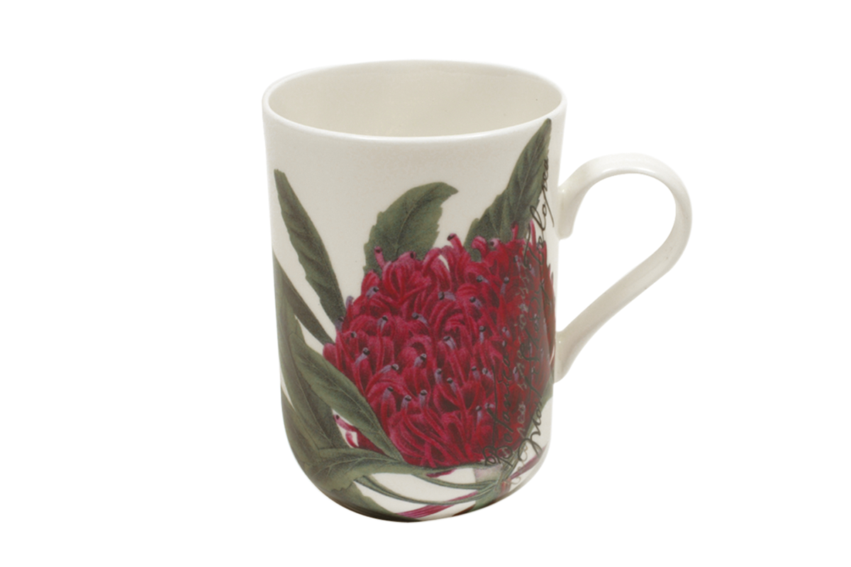 Maxwell & Williams Botanic Mug 300ml Telopea Waratah