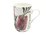 Maxwell & Williams Botanic Mug 300ml Bottlebrush