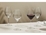 Casa Domani Chiara Wine Glass 595ml Set of 4 Gift Boxed