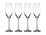 Casa Domani Chiara Champagne Flute 210ml Set of 4 Gift Boxed