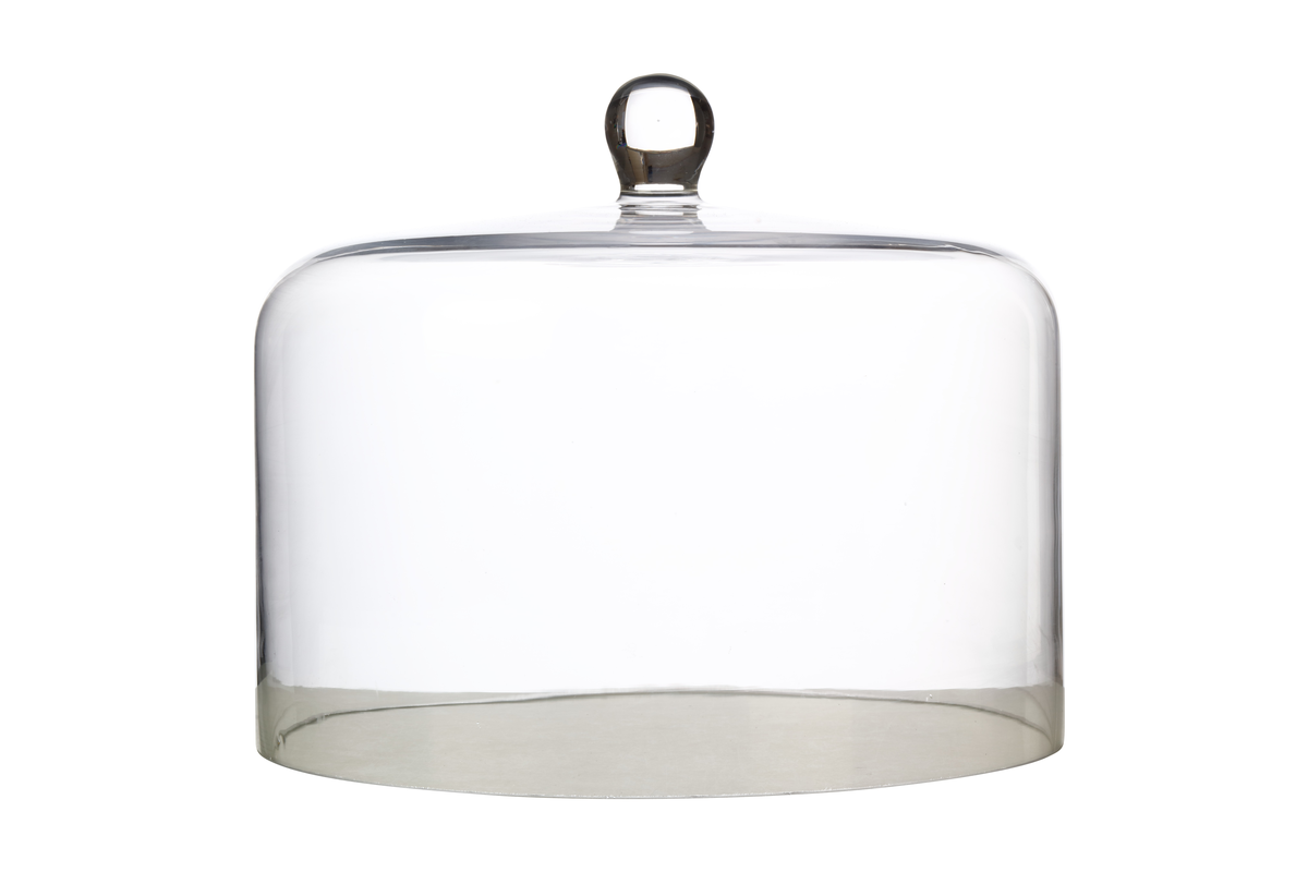 Maxwell & Williams Diamante Straight Sided Cake Dome 26x20cm Gift Boxed