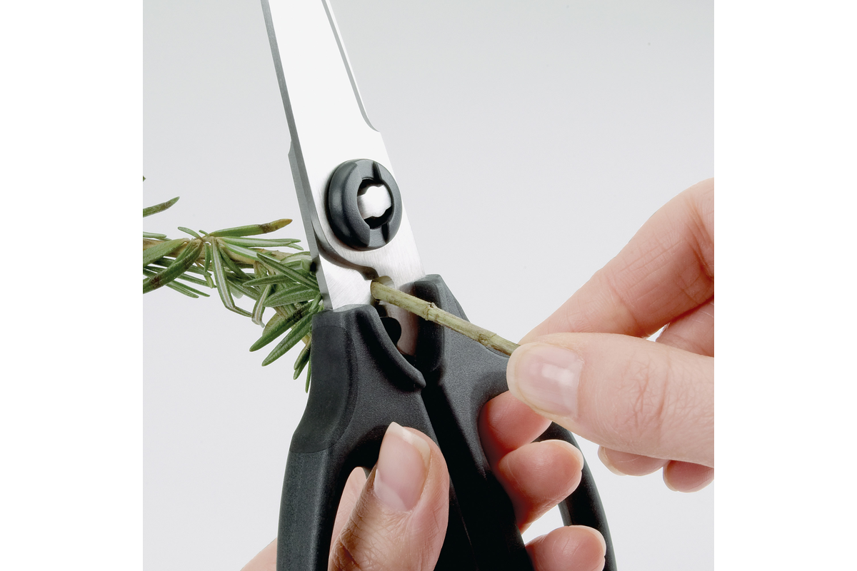 OXO Kitchen & Herb Scissors