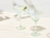 Maxwell & Williams Glamour Martini Glass 230ml Set of 2 Green Gift Boxed