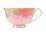 Maxwell & Williams Wicked Pink Goes Good With Green 5pc Tea Set Glinda Gift Boxed