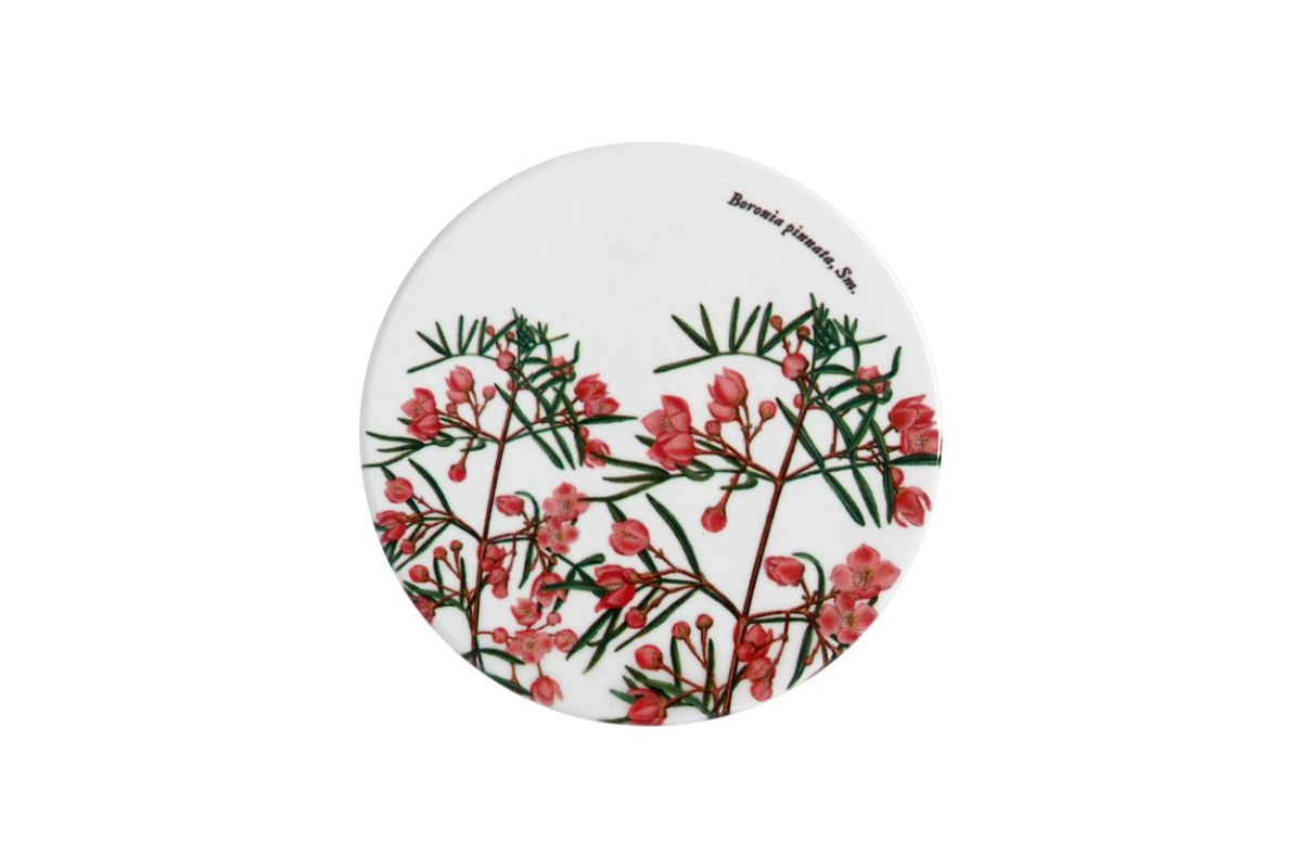 Maxwell & Williams Royal Botanic Garden Ceramic Round Coaster 9cm Boronia