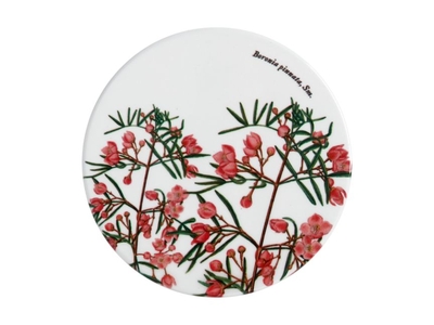 Maxwell & Williams Royal Botanic Garden Ceramic Round Coaster 9cm Boronia-maxwell-and-williams-What's Cooking Online Store