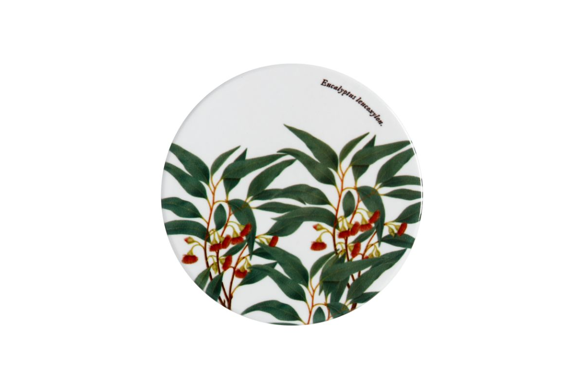 Maxwell & Williams Royal Botanic Garden Ceramic Round Coaster 9cm Flowering Gum