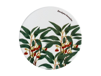 Maxwell & Williams Royal Botanic Garden Ceramic Round Coaster 9cm Flowering Gum-maxwell-and-williams-What's Cooking Online Store