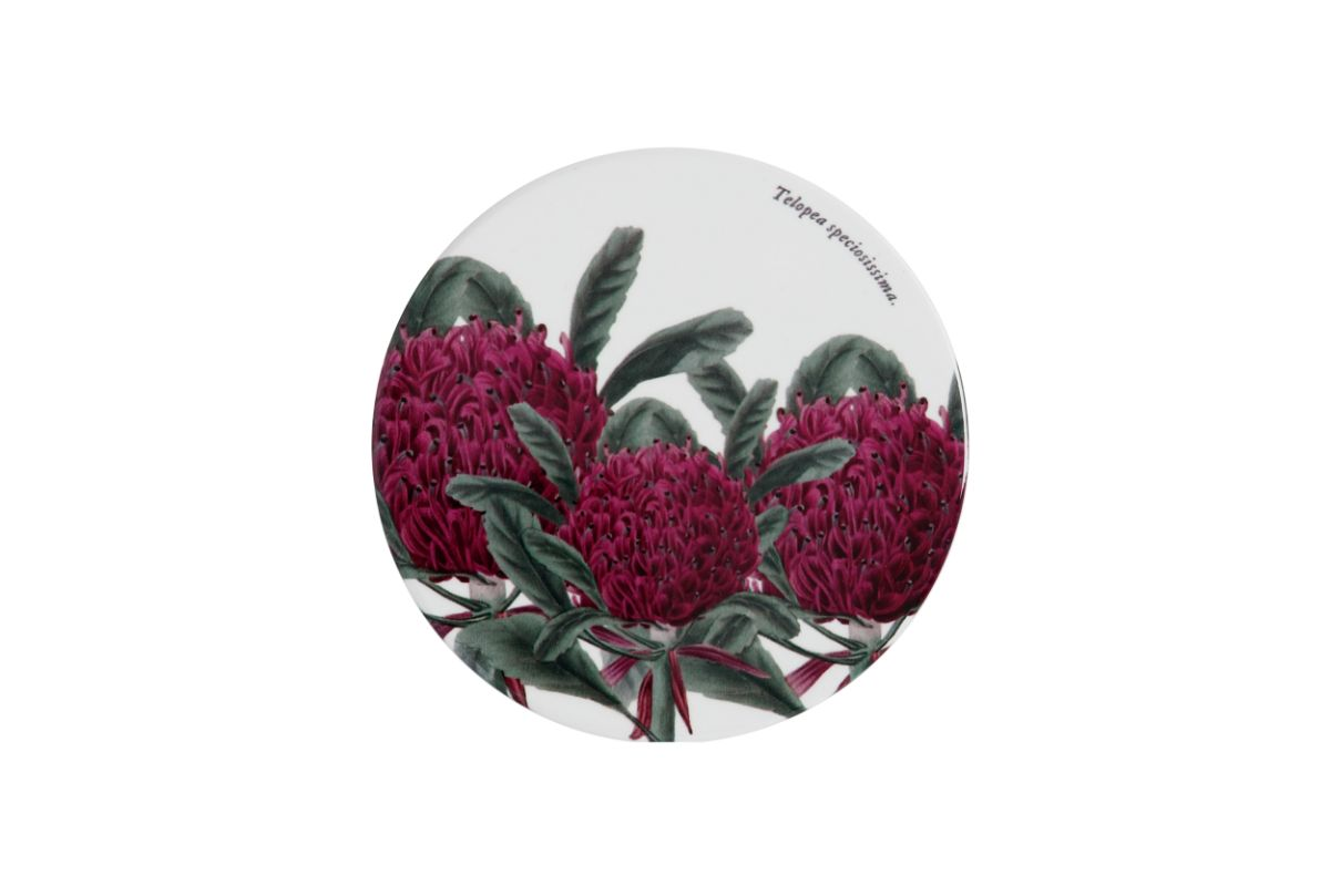 Maxwell & Williams Royal Botanic Garden Ceramic Round Coaster 9cm Telopea