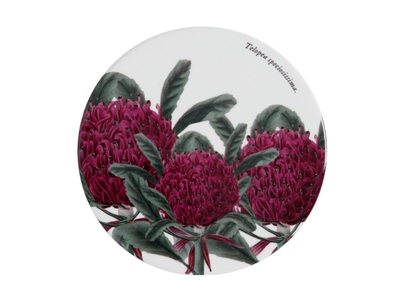 Maxwell & Williams Royal Botanic Garden Ceramic Round Coaster 9cm Telopea-maxwell-and-williams-What's Cooking Online Store