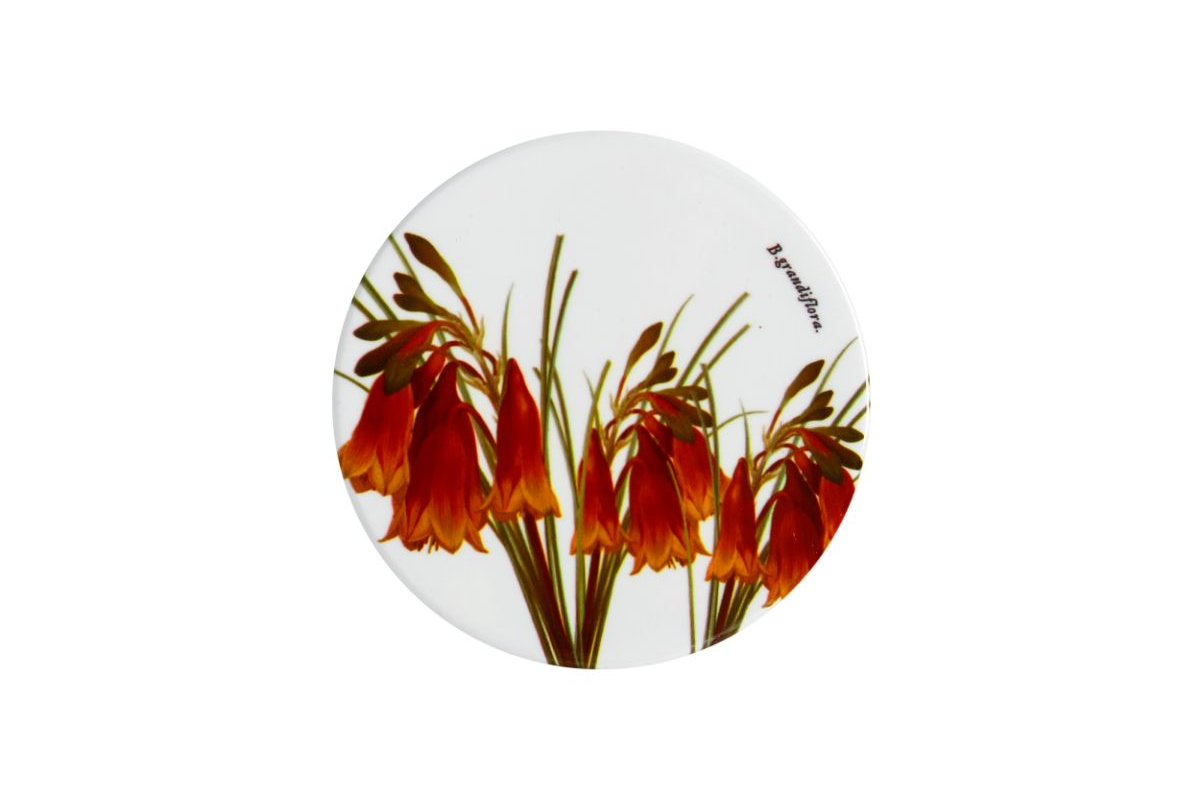 Maxwell & Williams Royal Botanic Garden Ceramic Round Coaster 9cm Christmas Bells